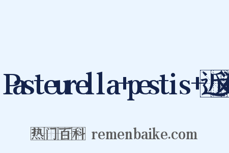 Pasteurella+pestis+近义词是什么意思的图片